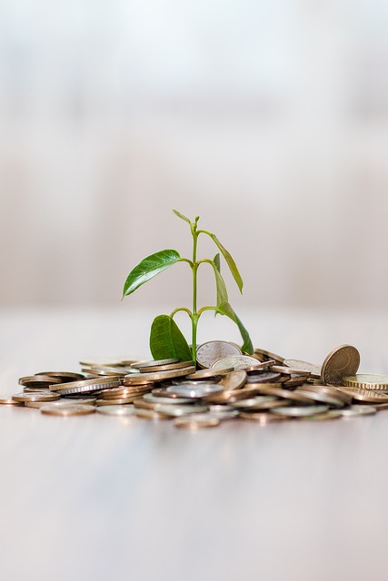 bank loan, bank, money