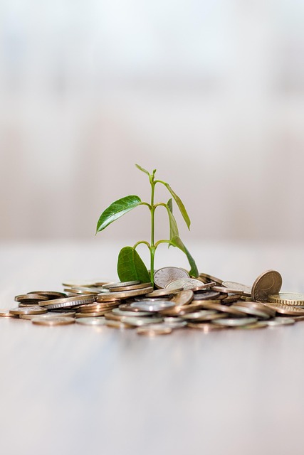 bank loan, bank, money