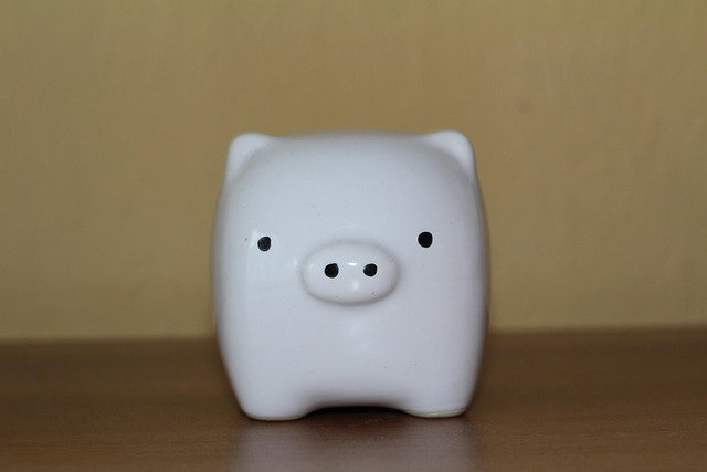bank loan, bank, money