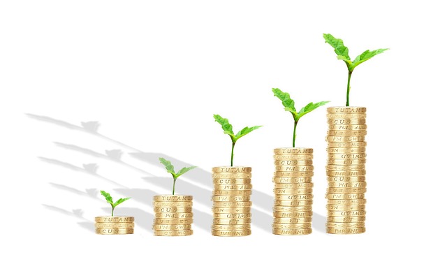 bank loan, bank, money