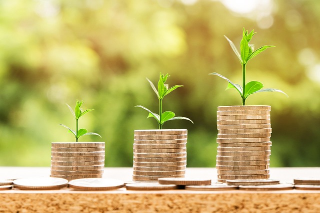bank loan, bank, money