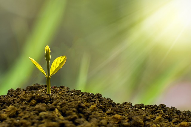 Unleash Growth: Edinburg, Tx Asset-Based Lending Saves You Big!